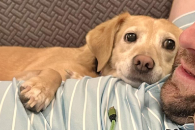 Couple Moves In Together, Dog Falls 'In Love' With Owner's Boyfriend