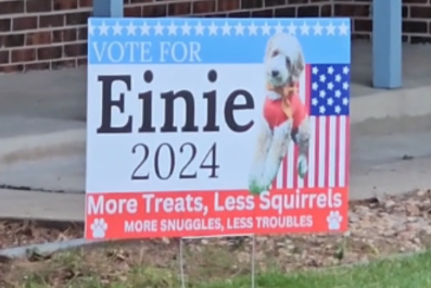 Amazon Driver Finds Streets Full of Voting Signsâbut It's Not What It Seems