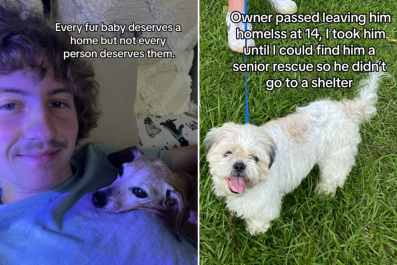 Man Who Only Adopts Senior Animals Reveals Why He Saves Them