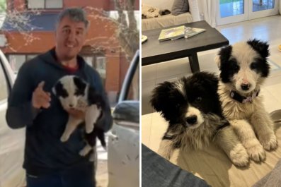 Man Adopts Puppy, Comes Back With Two As He 'Couldn't Leave' Brother Behind