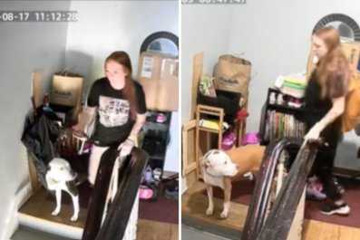 Dog Dies, Sister Steps In to Take His Place Each Morning With Owner