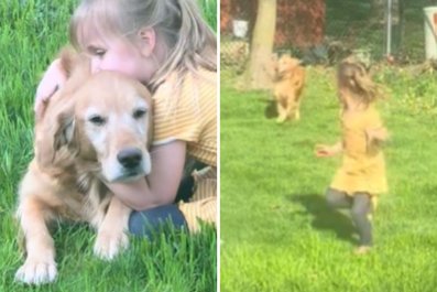 Golden Retriever Saved From Puppy Mill 'Finds Her Human'âa 5-Year-Old Girl