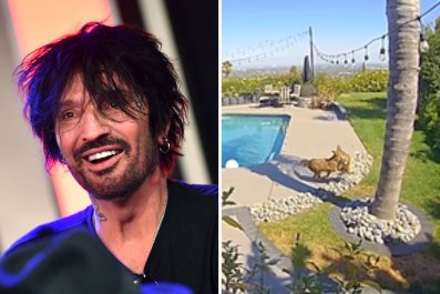 Watch Coyote Grab Dog Belonging to MÃ¶tley CrÃ¼e's Tommy Lee From Backyard