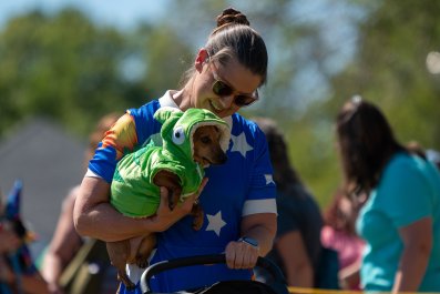 Hearts Melt as Dog Dresses Up as Dinosaur for Daycare But No One Else Does