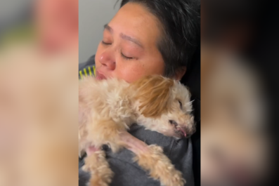 Senior Dog About To Be Euthanized, Then She Does the Unexpectedâ'Not Today'