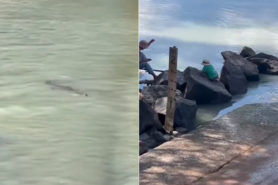 Chilling Video Shows Kids Playing by River Full of Crocodiles: 'Reckless'