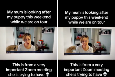 Puppy's Behavior on Grandma's Important Work Call Delights Internet