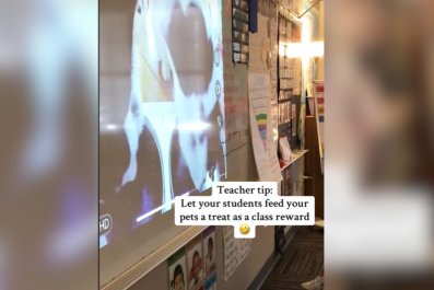 Teacher Comes Up With Hilarious 'Reward' for ClassâAnd It Involves Her Pets