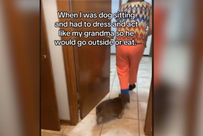 Woman Pet Sitting Dog Has To Dress and Act Like Grandma or He Won't Eat