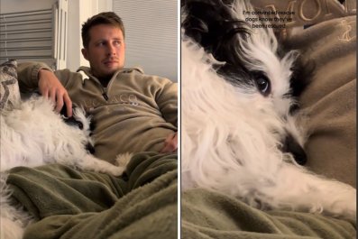 Dog Cozying Up With Owner on Sofa 'Knows' He's Been Rescued