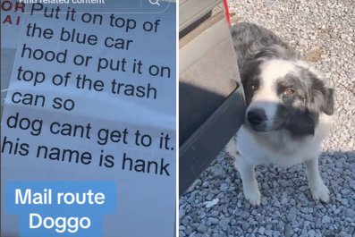 Owners Forced to Write Mailman Note About Dog Who's 'Up to No Good'