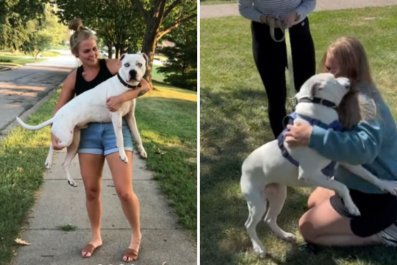 Woman Never Forgot About Foster Dog, Then Finds Him in Shelter Years Later