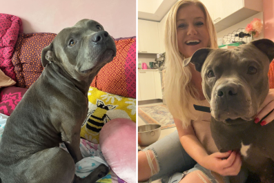 Woman Goes to Foster Dog Saved Before Hurricane, But There's a Problem