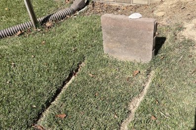 Lawn Workers' Gesture on Cat's Grave Melts Heart: 'Paying His Respects'