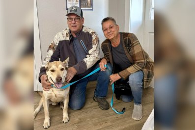 Dog Rescued From Home After Owner Died Adopted on the Spot by New Family