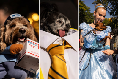 Take a Look at the Best Costumes at NYC Halloween Dog Parade