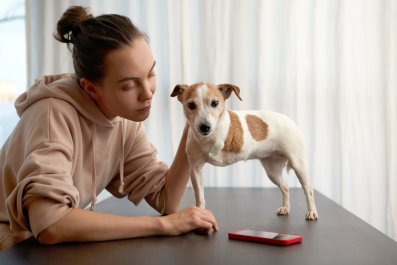 Amputee Dog Trying To Give Owner Her 'Ghost Paw' Melts Hearts