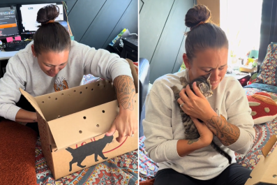 Moment Man Surprises Wife With One-Eyed Rescue KittenâShe Can't Say No