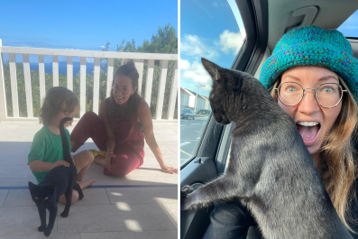 Family Feeds Stray Cat on Vacation, Then Brings Him Over 1,300 Miles Home