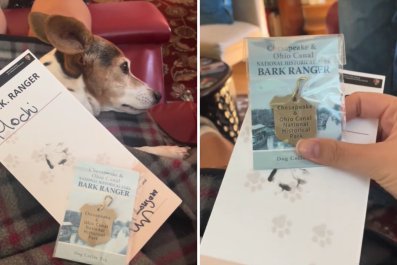 Dad on Epic Mission for Dog to Become 'Bark Ranger' at Every National Park