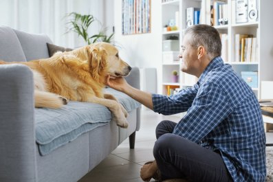 Watch Golden Retriever Slowly Realizing Owner Is Home: 'Heart Explodes'