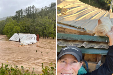 Family Watch as Cat Swept Away by Hurricane, Days Later They Hear a 'Meow'