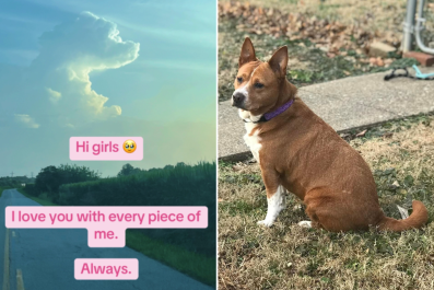 Woman Grieving Her Dogs Doesn't Believe in 'Signs'âThen Looks Up at the Sky