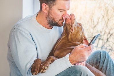 Hysterics at Dog Who Has No Concept of Personal Space: 'Stage 5 Clinger'