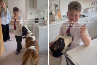 Precious Moment Boy, 9, Gets Surprised With 'Dream' Rescue Dog