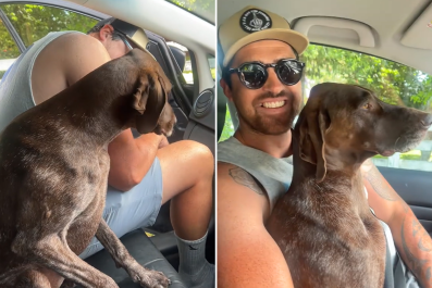 Hysterics at Dog Refusing To Let Owner Ride Up Front: 'It's Her Seat Now'