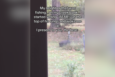 Woman Woken by Neighbor Yelling 'Bear,' Then She Looks out the Window