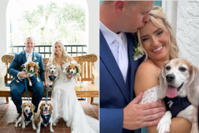 Couple Getting Married Have 5 Rescue Dogs, You Can Guess What Happens Next