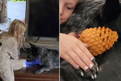 Mom Finds 8-Year-Old Giving Dog Full-On Manicure Complete With UV Lamp