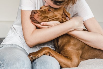 Dog's Reaction When Grandma Has To Go Home Melts Hearts