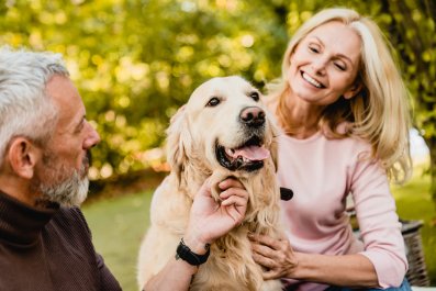 Dog Who Forgets Owner Exists When Grandparents Visit Delights Internet