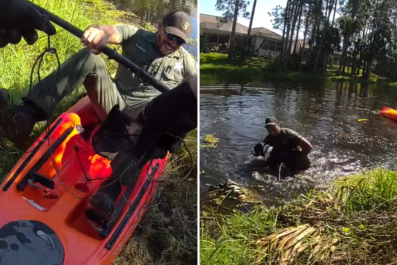 Watch Moment Florida Man Jumps Into Canal To Save Dog 'In Distress'