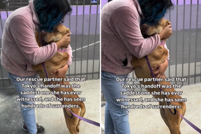 Shelter Worker Comforts Grieving Dog in 'Saddest' Surrender She's Ever Seen