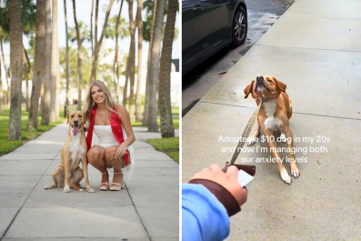 Woman Adopts Dog for $10, Hysterics Over How He Behaves on Walk