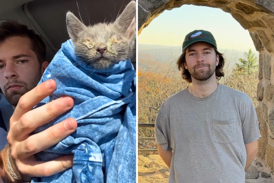 Man's Solo Road Trip Takes Unexpected Turn When He Finds Sick Kitten