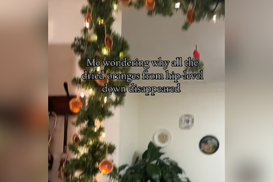 Woman Baffled by Holiday Decorations Disappearing, Then Remembers One Thing