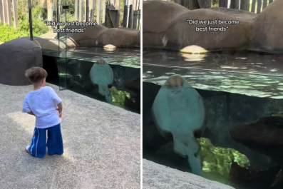 Little Boy Finds Unlikely Friendship at Zoo, Then They 'Boogy' Together