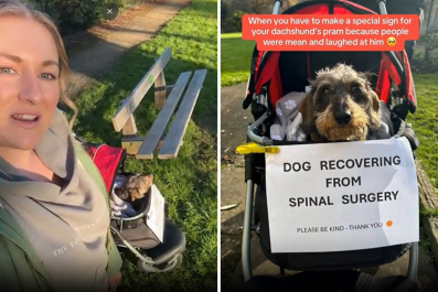 Owner Makes Sign Revealing Dog's Surgery for Heartbreaking Reason