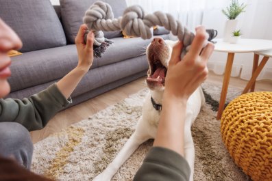 Couple Adopt Deaf and Blind Puppy but They Didn't Expect 'a Menace'