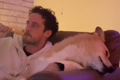 Rescue Dog Has Most Dramatic Reaction If Owner Doesn't Share Food: 'Dying'