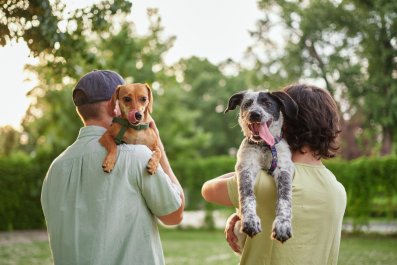 Expert Reveals Which Generation Makes the Best Pet Owners