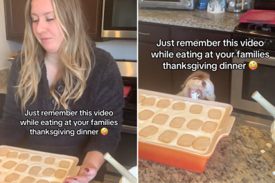 Woman Leaves Thanksgiving Meal on Kitchen Side, Dog Seizes the Opportunity