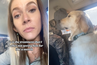 Woman Reunites With Dog After a Month and It's Not What She Expected