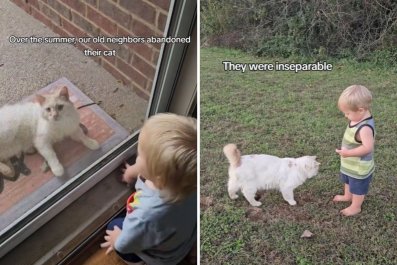 Toddler Convinces Family to Adopt Cat Abandoned by Neighborsâ'Welcome Home'