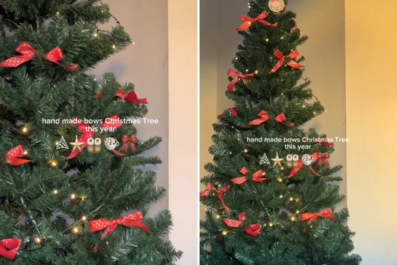 Vet Warns Against Viral Christmas Tree Bow Trend for Pet Owners