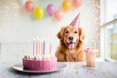 Mom-to-Be Bakes Gender Reveal Cake for Dog, but There's Just One Problem